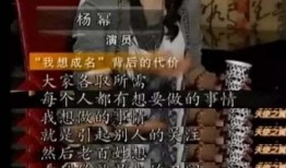 娱乐圈神秘人爆料碗盆完整版,真相大白，疑云散去