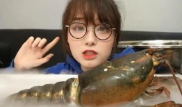 骚年龙虾爆料视频播放,视频播放背后的惊人数据与现象