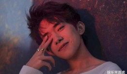 吴京爆料易烊千玺视频,揭秘青春偶像的幕后故事