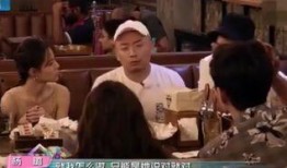 娱乐圈神秘人爆料碗盆完整版,真相大白，疑云散去