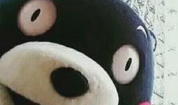 今日视线网络爆料,揭秘娱乐圈最新热点事件