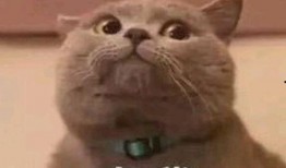 女生网红吃瓜表情包,女生们的欢乐源泉