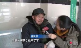 陈大爷最新爆料,揭秘事件背后惊人真相