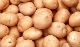 深宅雪在线观看土豆,土豆独家上线，揭秘神秘宅邸的惊悚故事