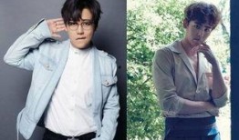 刘维黄新淳圈内人爆料是真的吗,真相还是谣言？