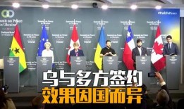 法国外交官爆料事件视频,独家视频曝光惊人真相