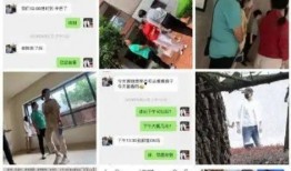 张杰爆料家长群视频大全,真实生活瞬间大盘点