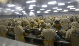 剥虾工人爆料视频大全,揭秘剥虾工人的辛酸与困境