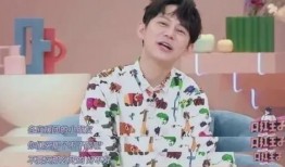 何炅家族爆料视频大全集,揭秘明星家庭温馨瞬间