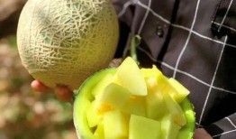 吃瓜娱乐大荟萃,盘点娱乐圈最新热点事件