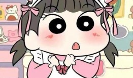 爆料小新动画视频大全下载,揭秘经典爆笑瞬间，海量资源免费下载