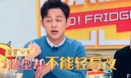 何炅家族爆料视频大全集,揭秘明星家庭温馨瞬间