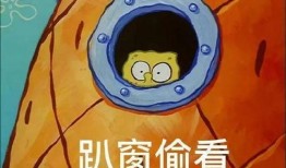 派大星娱乐爆料视频大全,视频大全精彩瞬间大放送