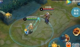 海星皮肤爆料视频播放,视频播放背后的神秘魅力