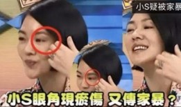 谁爆料家暴视频大全下载,独家视频大全下载解析