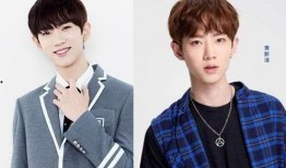 刘维黄新淳圈内人爆料是真的吗,真相还是谣言？