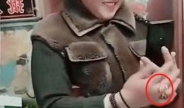 大衣哥爆料儿媳最新视频,甜蜜互动引网友热议