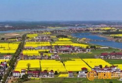 南昌安义县最新爆料