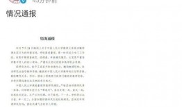 赵林探险日记最新大爆料,揭秘神秘古墓的惊世之谜