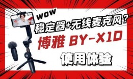 爆料博雅视频大全最新,揭秘热门视频背后的精彩故事