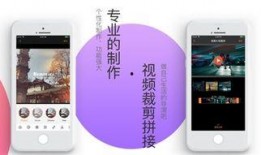 小白爆料视频下载软件免费,揭秘免费下载神器，轻松获取热门视频！