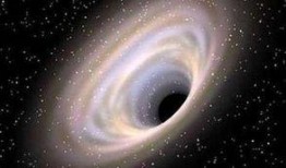 南阳黑洞爆料最新消息