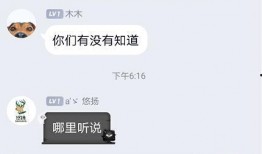 圈内爆料小白和圈姐,小白与圈姐的幕后故事