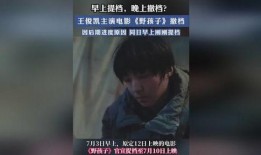 野孩子电影在线观看,探寻自然与成长的奇幻之旅