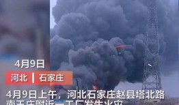 东营媒体爆料事件视频播放,视频内容引发社会关注
