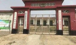 蒙阴县最新爆料新闻,最新爆料揭示惊人真相