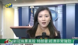 爆料新冠女记者视频大全,勇敢揭露疫情真相的瞬间