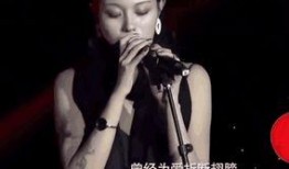 汪峰妻子爆料视频播放,揭秘夫妻关系背后的真相